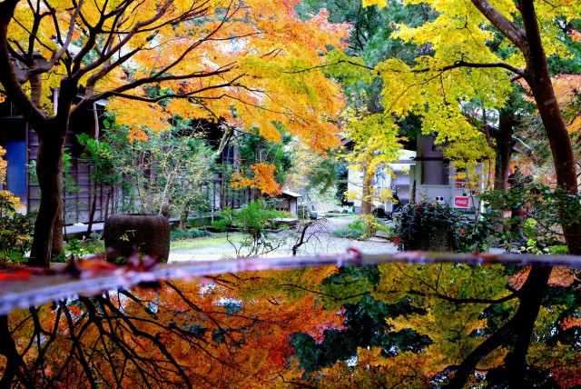 覚園寺「彩の覚園寺」